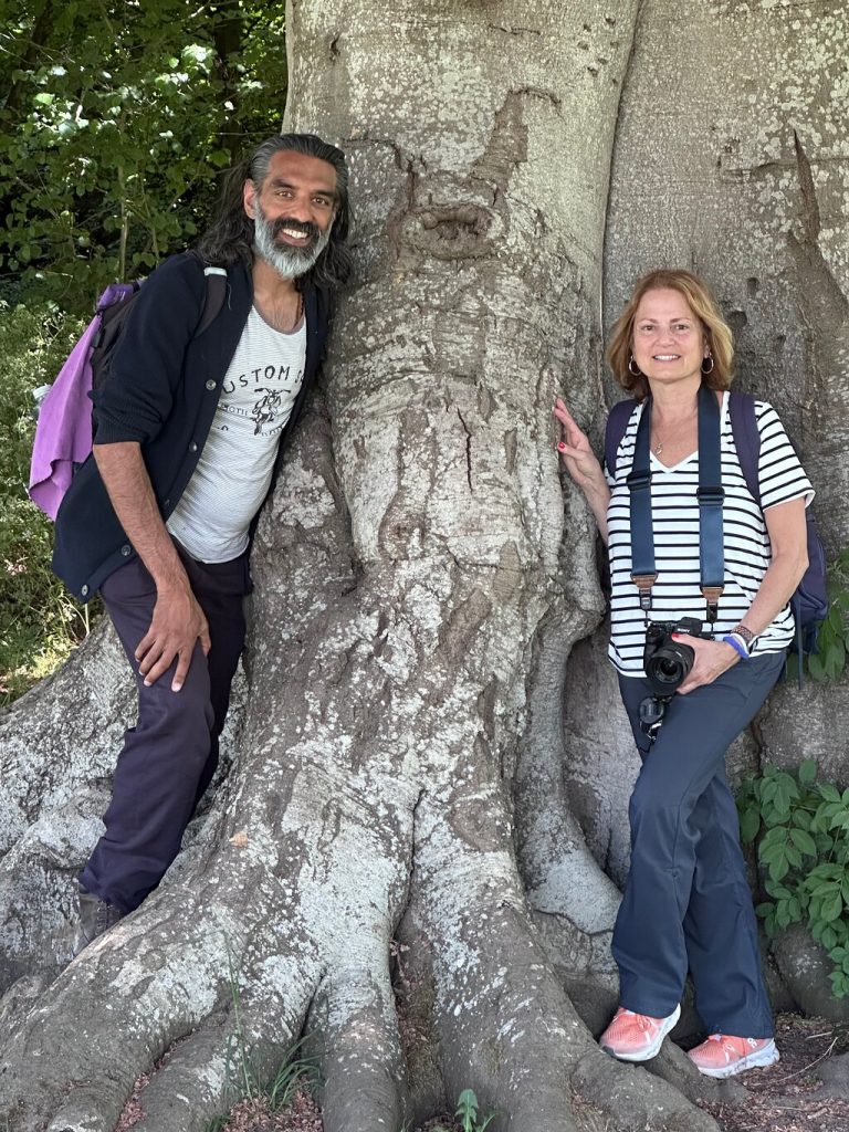 Abbert Tree with Rose