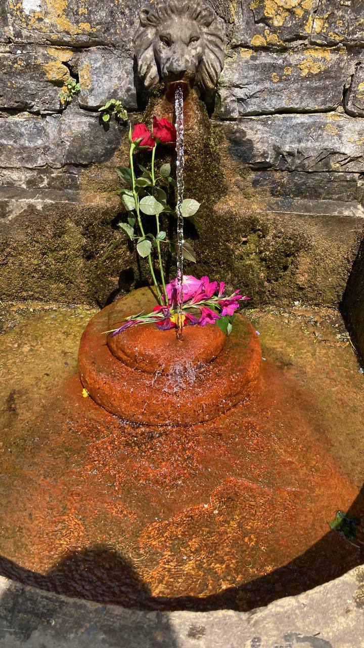 Glastonbury Lion Spring